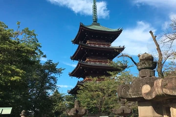 Blog
