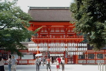 Blog