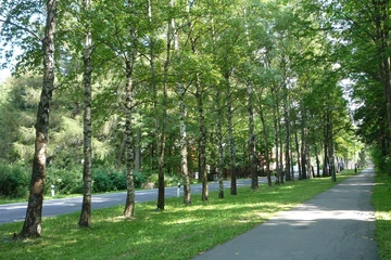 Blog