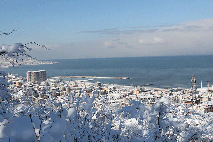 Blog