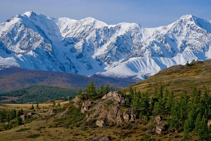 Altay