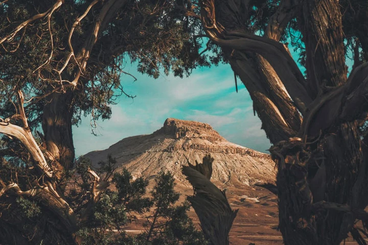 El Bayadh