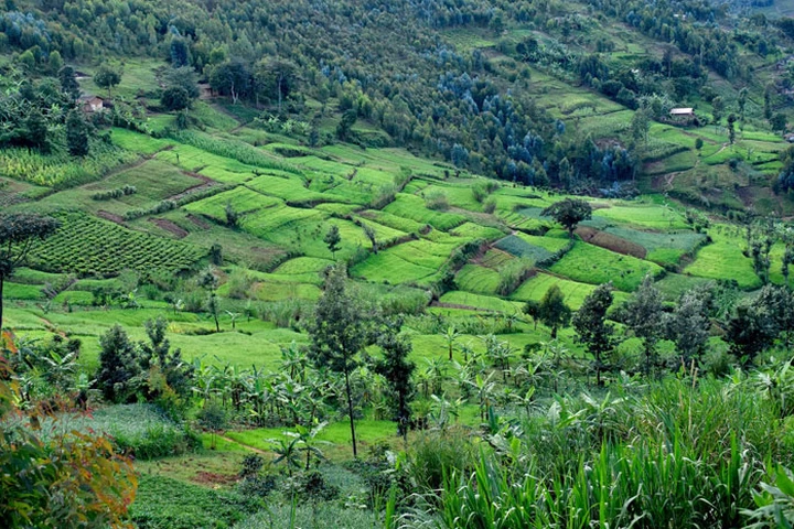 Burundi