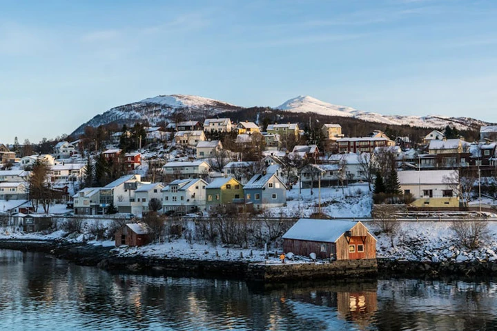 Norveç