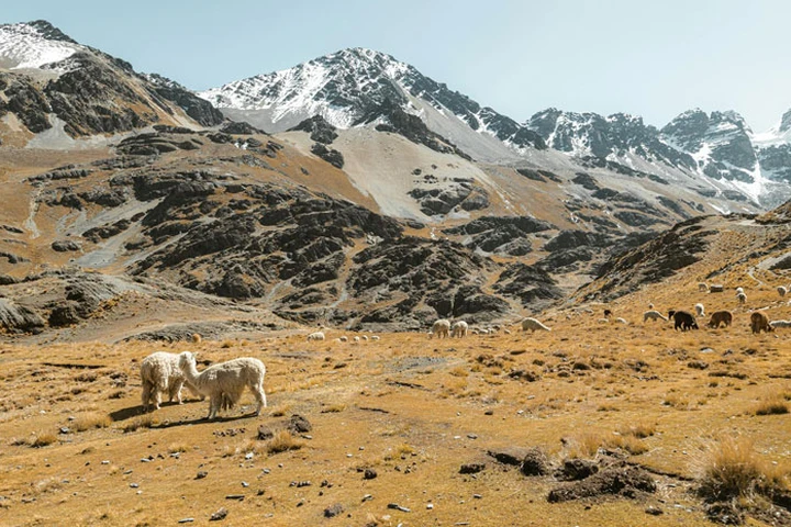 Oruro